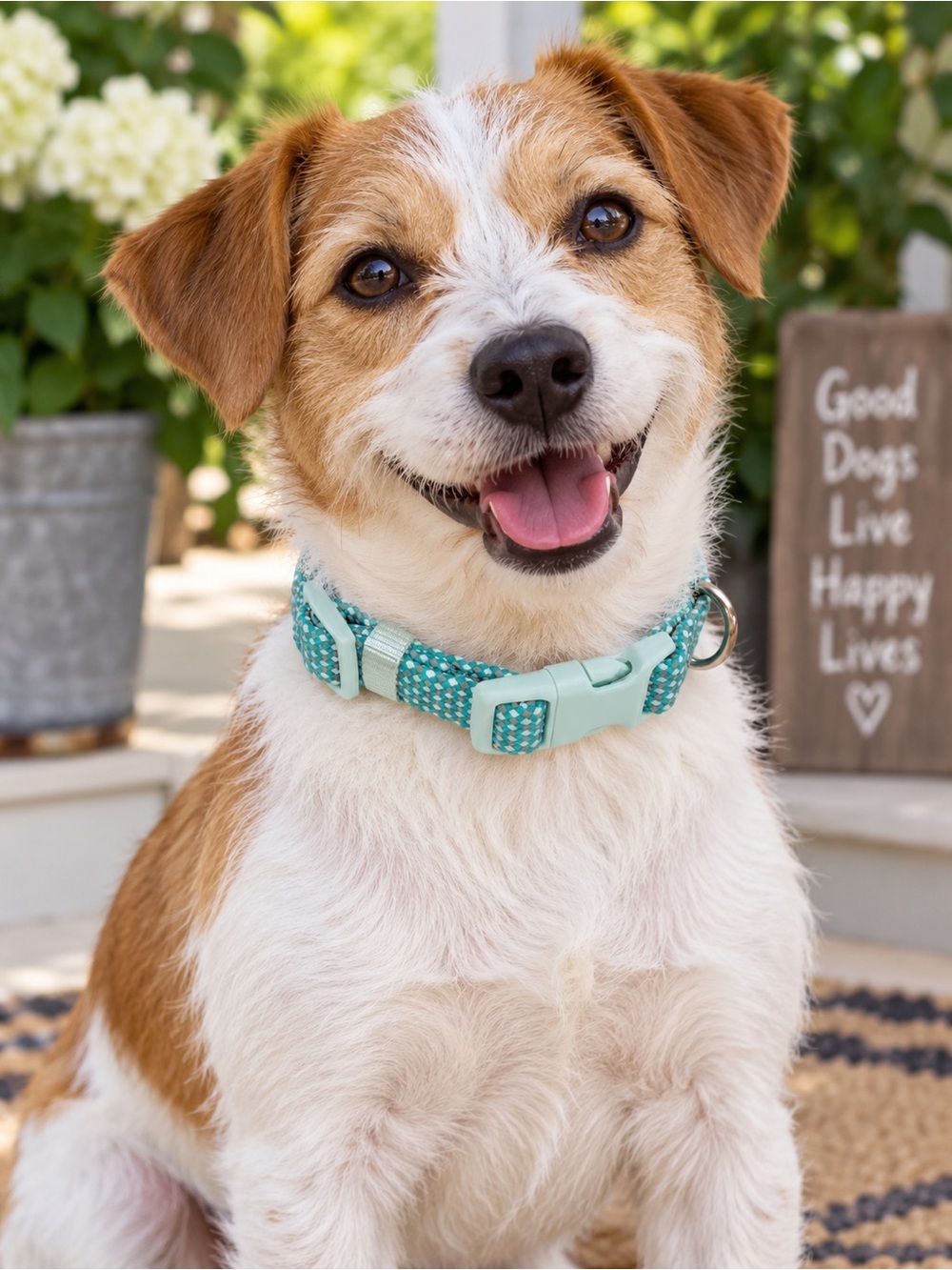Adjustable Dog Collar with Buckle Aqua and White